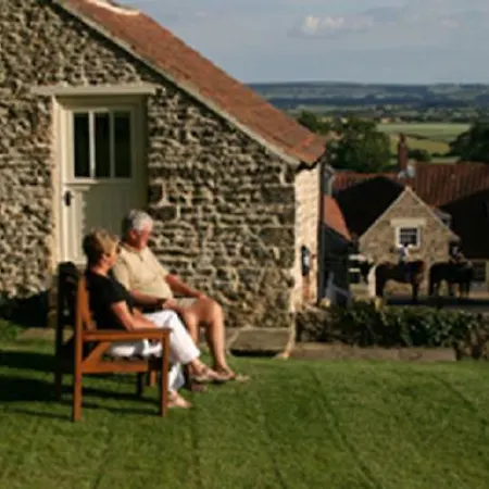 Prospect Farm * Allerston